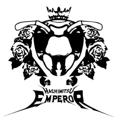 アーティスト写真