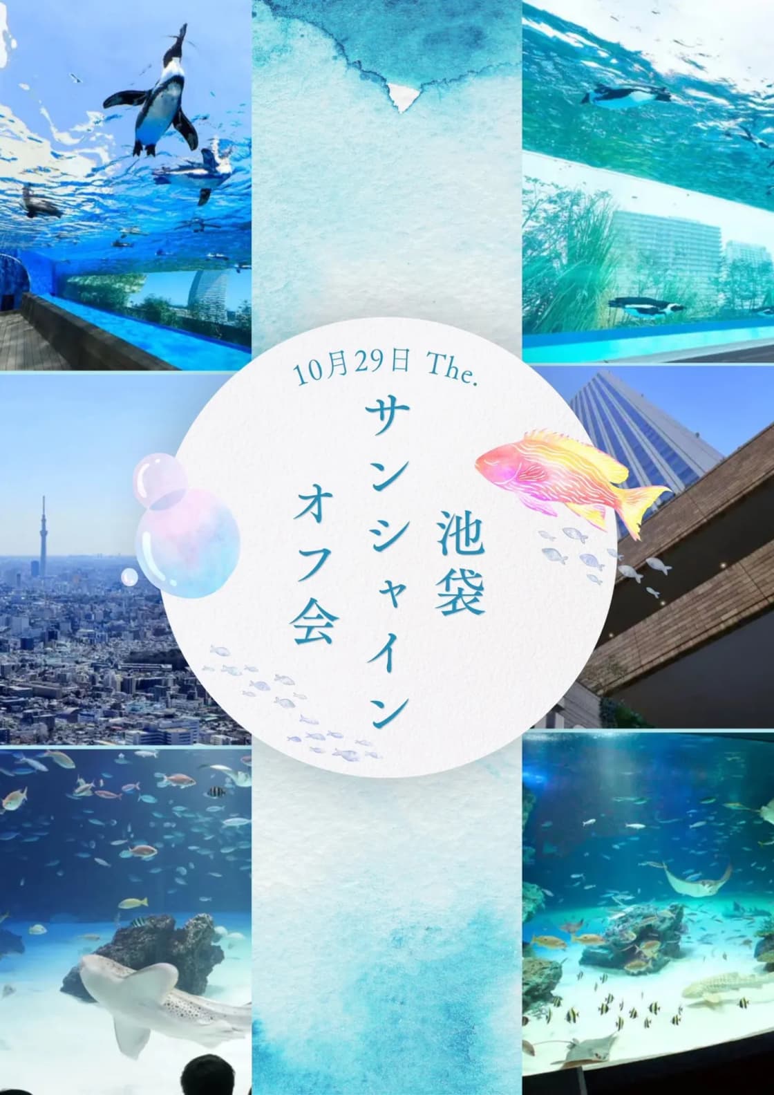 背景画像